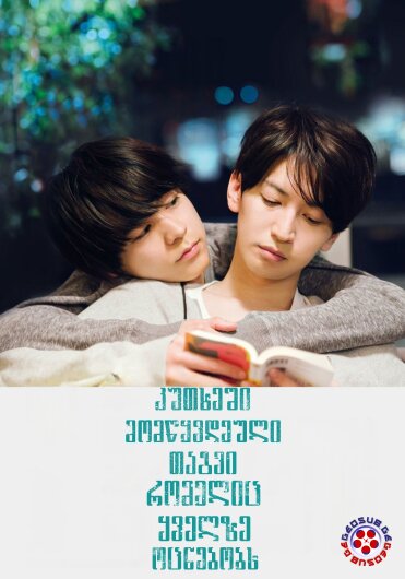 კუთხეში მომწყვდეული თგვი რომელიც ყველზე ოცნებობს