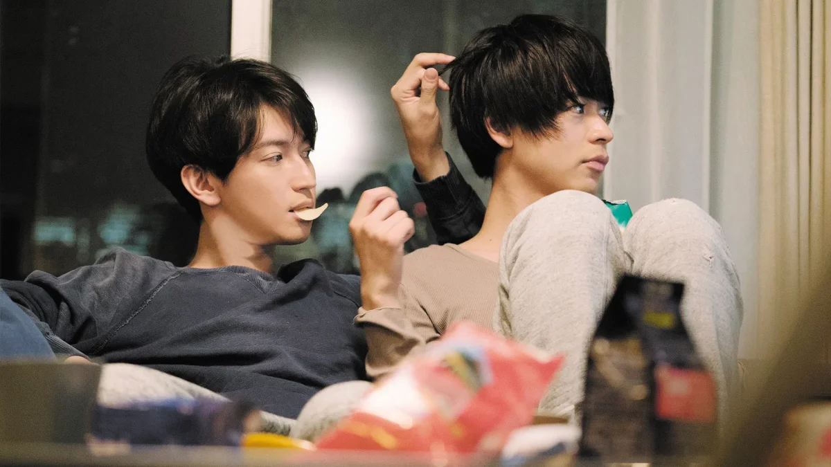 კუთხეში მომწყვდეული თგვი რომელიც ყველზე ოცნებობს