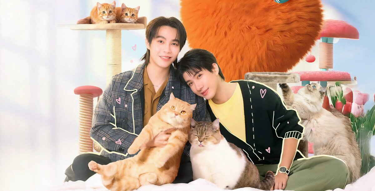 კატა ფულისთვის