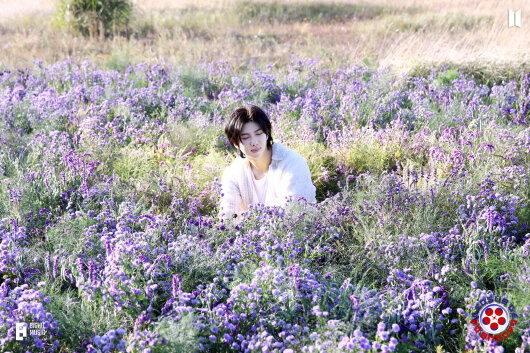 RM “Wild Flower,,